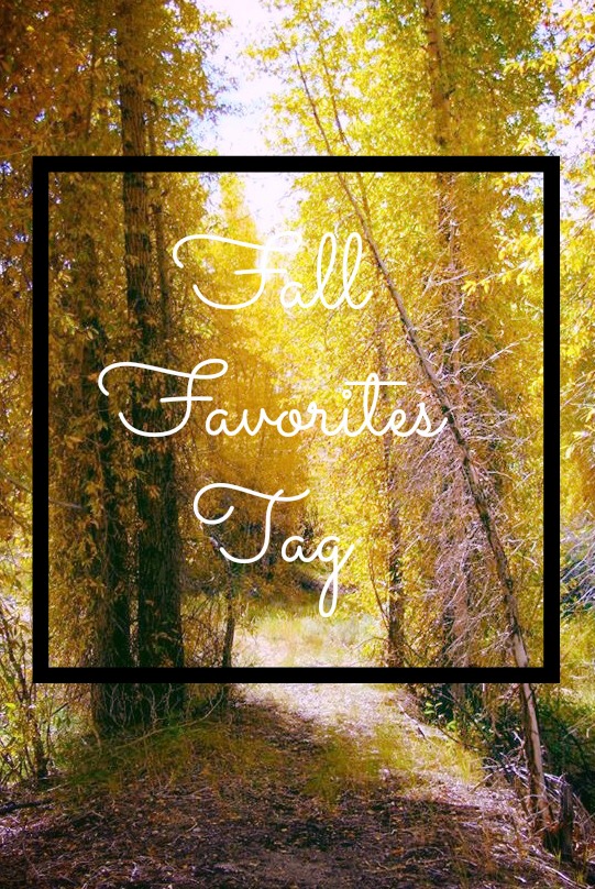 Fall Favorites 